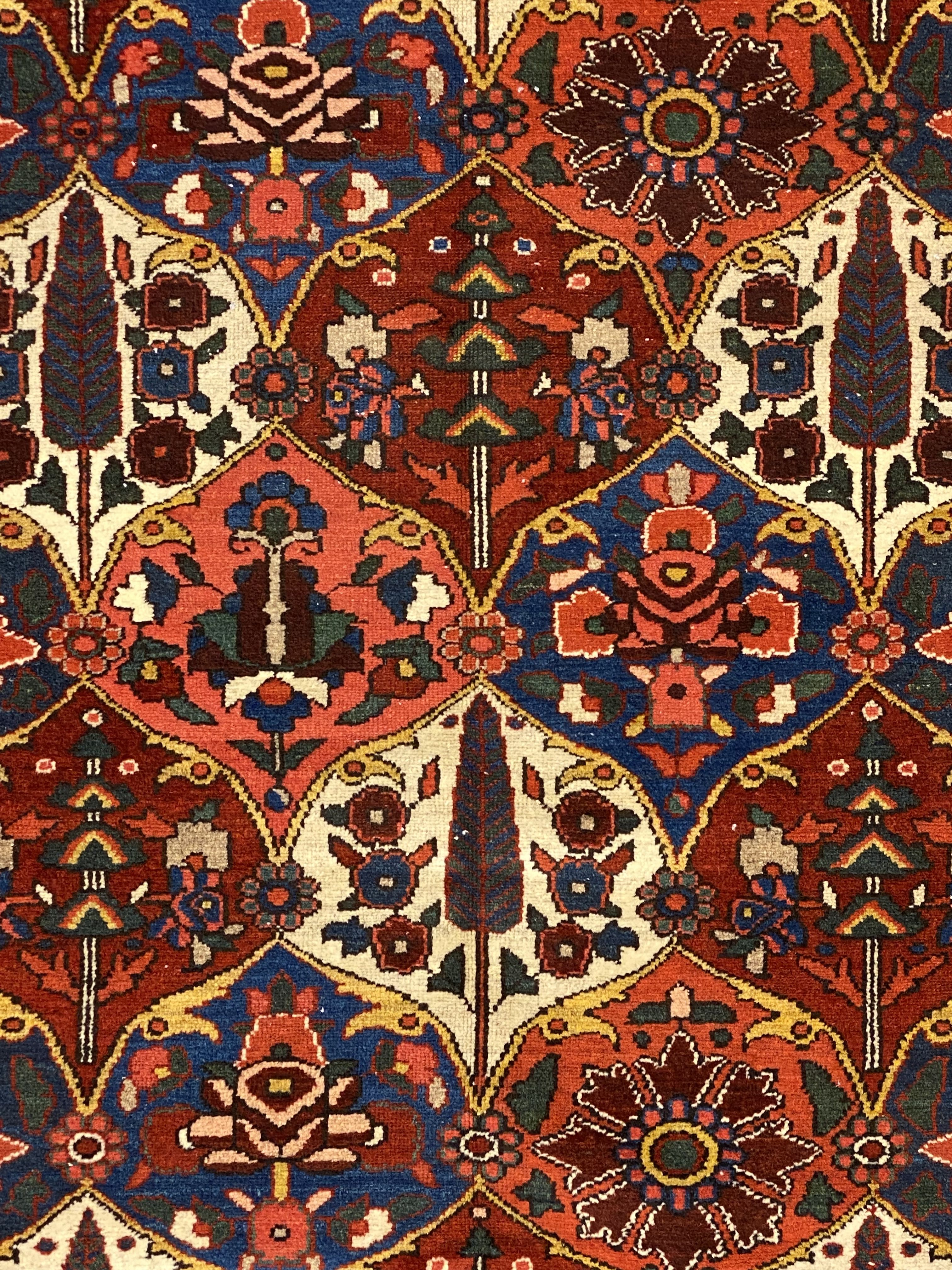 Long Bakhtiari rug