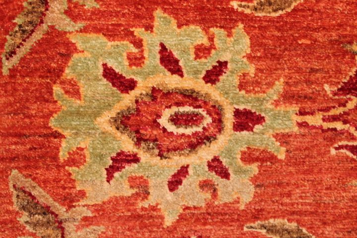 Bandora rug
