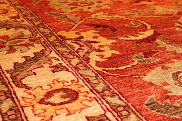 Bandora rug
