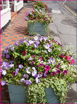 Beautiful Blooms for WIB 2011 at The Oriental Rug Gallery Ltd.jpg Beautiful Blooms for WIB 2011 at The Oriental Rug Gallery Ltd.jpg