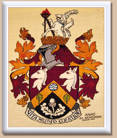 Haslemere Coat of Arms Weaving hand-woven byThe Oriental Rug Gallery Ltd.jpg