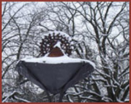 Water Wheel in Winter from The Oriental Rug Gallery Ltd for Weyhill In Bloom.jpg Water Wheel in Winter from The Oriental Rug Gallery Ltd for Weyhill In Bloom.jpg
